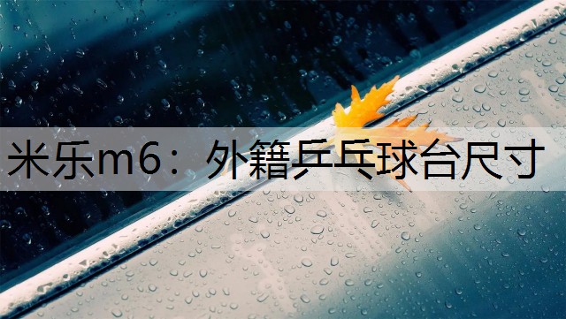 米樂(lè)m6：外籍乒乓球臺(tái)尺寸