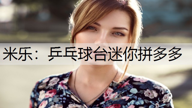 米樂(lè)：乒乓球臺(tái)迷你拼多多