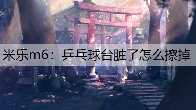 米樂(lè)m6：乒乓球臺(tái)臟了怎么擦掉