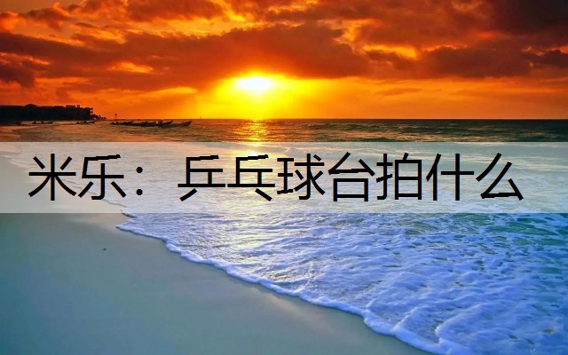 <strong>米樂：乒乓球臺拍什么</strong>