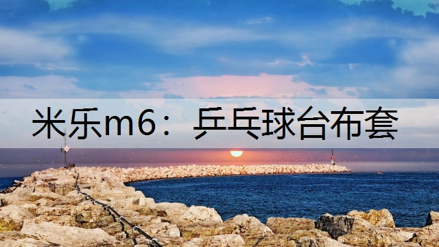 米樂m6：乒乓球臺布套