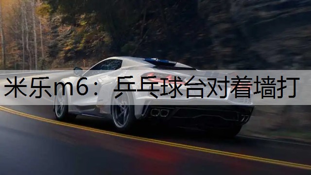 米樂(lè)m6：乒乓球臺(tái)對(duì)著墻打