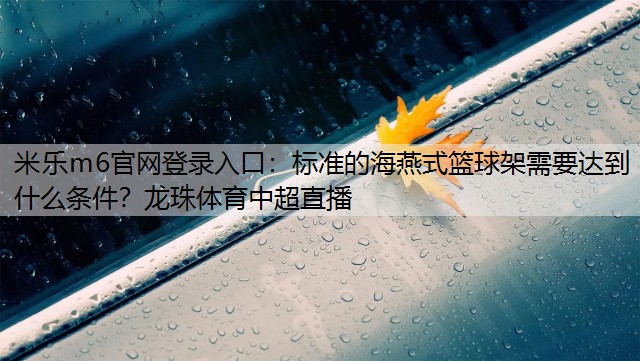 <strong>米樂m6官網(wǎng)登錄入口：標(biāo)準(zhǔn)的海燕式籃球架需要達(dá)到什么條件？龍珠體育中超直播</strong>