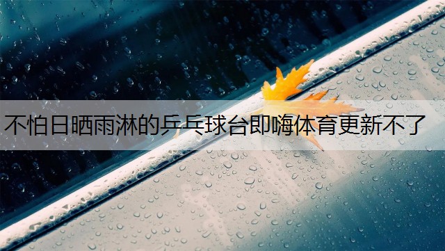 <strong>不怕日曬雨淋的乒乓球臺即嗨體育更新不了</strong>