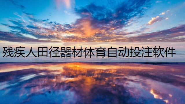 <strong>殘疾人田徑器材體育自動投注軟件</strong>