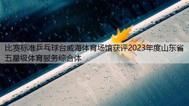 比賽標準乒乓球臺威海體育場館獲評2023年度山東省五星級體育服務(wù)綜合體