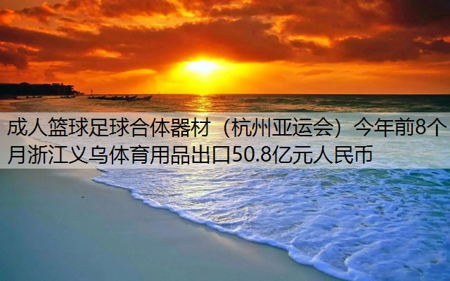 <strong>成人籃球足球合體器材（杭州亞運會）今年前8個月浙江義烏體育用品出口50.8億元人民幣</strong>