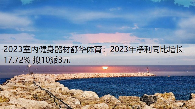 <strong>2023室內(nèi)健身器材舒華體育：2023年凈利同比增長17.72% 擬10派3元</strong>