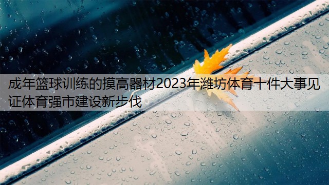 成年籃球訓練的摸高器材2023年濰坊體育十件大事見證體育強市建設新步伐