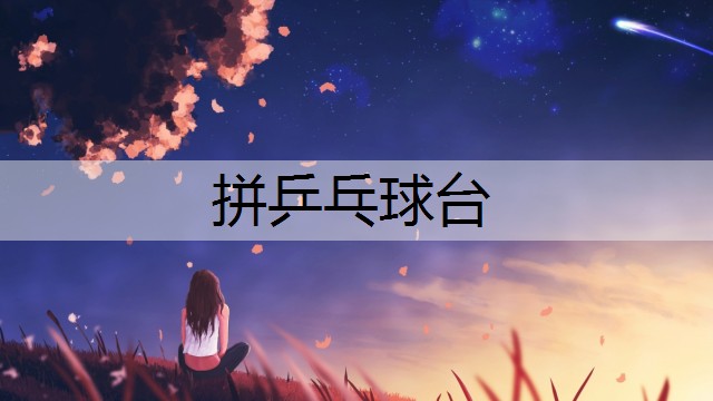 拼乒乓球臺(tái)