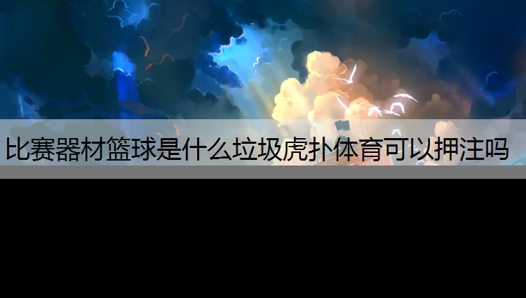 比賽器材籃球是什么垃圾虎撲體育可以押注嗎