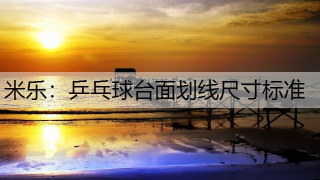 乒乓球臺面劃線尺寸標(biāo)準(zhǔn)