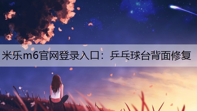 乒乓球臺(tái)背面修復(fù)