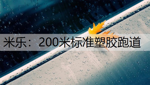 200米標(biāo)準(zhǔn)塑膠跑道