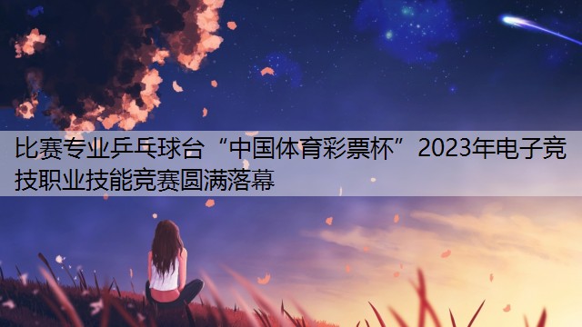 比賽專業(yè)乒乓球臺(tái)“中國(guó)體育彩票杯”2023年電子競(jìng)技職業(yè)技能競(jìng)賽圓滿落幕