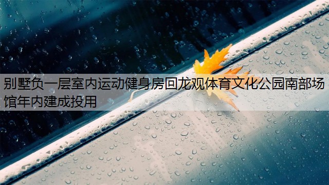 別墅負一層室內(nèi)運動健身房回龍觀體育文化公園南部場館年內(nèi)建成投用