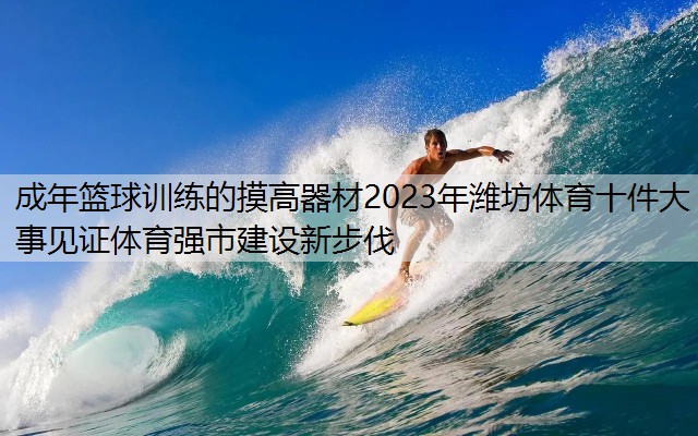 成年籃球訓(xùn)練的摸高器材2023年濰坊體育十件大事見證體育強(qiáng)市建設(shè)新步伐